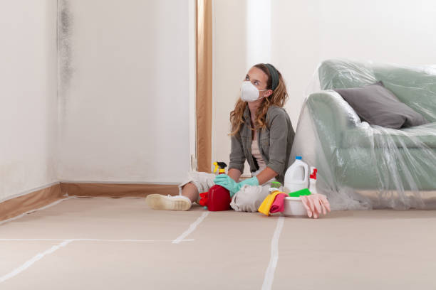 Reliable Commercial Mold Remediation contractor in Farmington, MI by 24 Hour Mold Removal